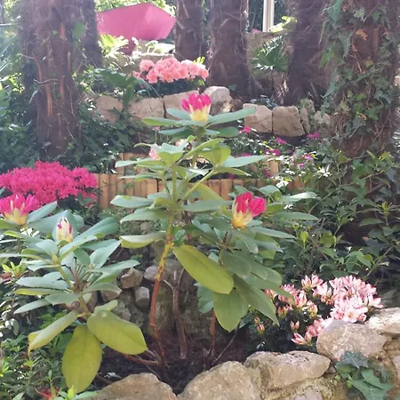 Big Blue S Privatnim Parkingom *